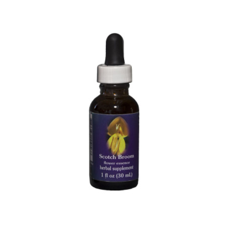 Comprar online E.F. SCOTCH BROOM 30 ML FES CALIFORNIA - Coliseum