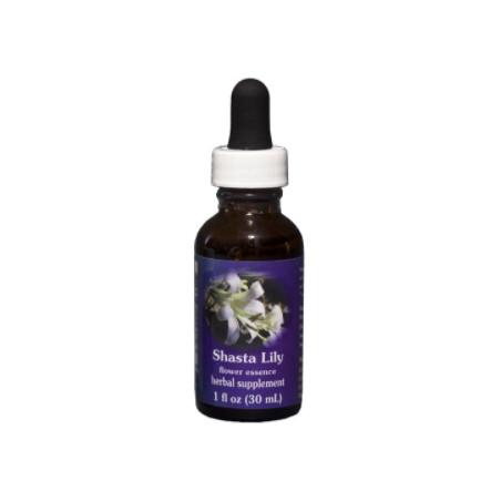Comprar online E.F. SHASTA LILY 30 ML. FES CALIFORNIA - Coliseum