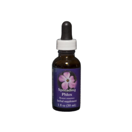 Comprar online E.F. SPREADING PHLOX 30 ML. FES CALIFORNIA - Coliseum