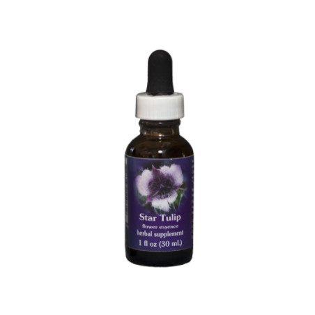 Comprar online E.F. STAR TULIP 30 ML FES CALIFORNIA - Coliseum