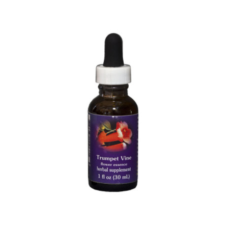 Comprar E.F. TRUMPET VINE 30 ML FES CALIFORNIA online - Coliseum