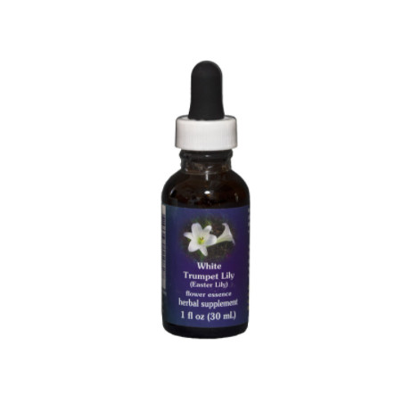 Comprar E.F. WHITE TRUMPET LILY (EASTER LILY) 30 ML FES CALIFORNIA