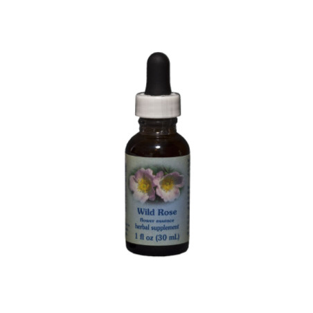 Comprar E.F. WILD ROSE 30 ML FES CALIFORNIA online - Coliseum