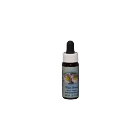 Comprar online E.F. WILD ROSE 7,5 ML FES CALIFORNIA - Coliseum
