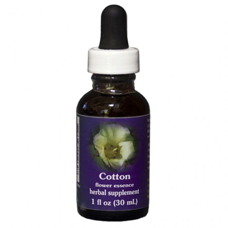 Comprar E.F. COTTON 30 ML. FES CALIFORNIA online - Farmacia Coliseum