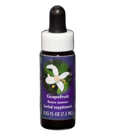 Comprar E.F. GRAPEFRUIT 7,5 ML. FES CALIFORNIA online - Coliseum