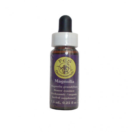 Comprar online E.F. MAGNOLIA 7,5 ML. FES CALIFORNIA - Coliseum