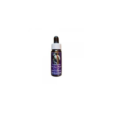 Comprar online E.F. PITCHER PLANT 7,5 ML FES CALIFORNIA - Coliseum