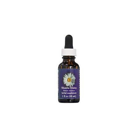 Comprar online E.F. SHASTA DAISY 30 ML FES CALIFORNIA - Coliseum