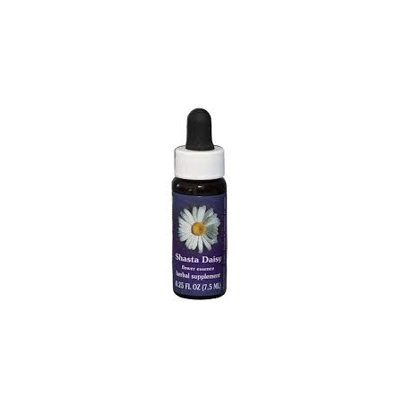Comprar E.F. SHASTA DAISY 7,5 ML FES CALIFORNIA online - Coliseum