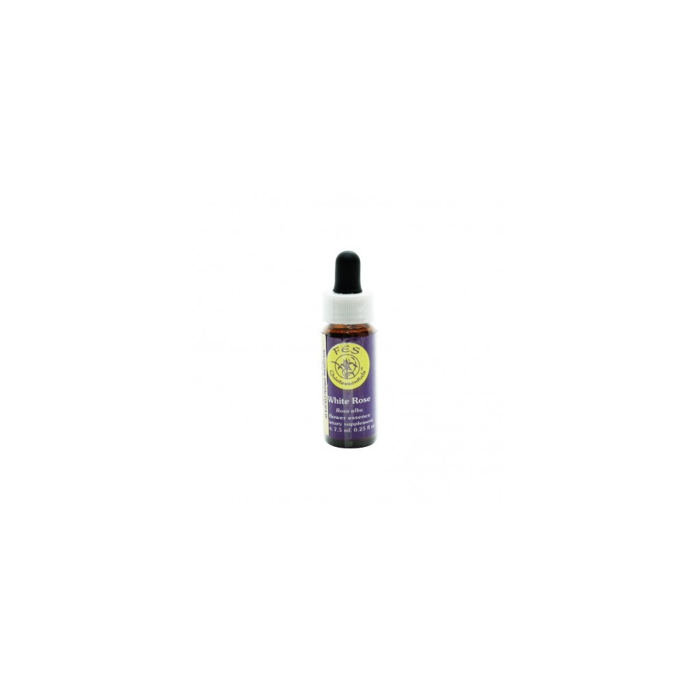 Comprar online E.F. WHITE ROSE 7,5 ML. FES CALIFORNIA - Coliseum