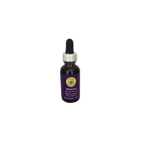 Comprar online E.F. WISTERIA 30 ML. FES CALIFORNIA - Coliseum