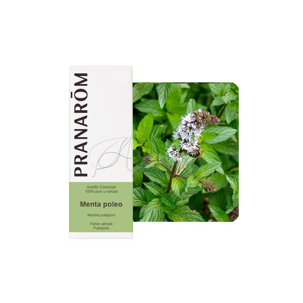 ACEITE ESENCIAL DE MENTA POLEO (MENTHA PULEGIUM) 10 CC PRANAROM