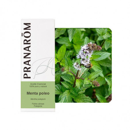 ACEITE ESENCIAL DE MENTA POLEO (MENTHA PULEGIUM) 10 CC PRANAROM