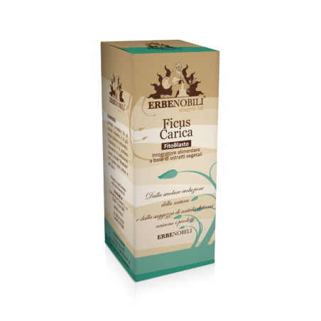 Comprar online HIGUERA yema macerado glicerinado 50ml