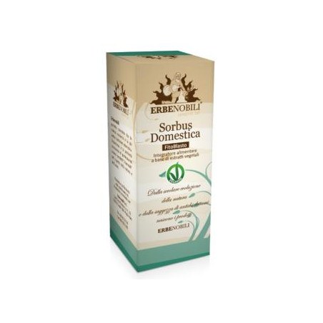 Comprar online SERBAL COMÚN yema macerado glicerinado 50ml