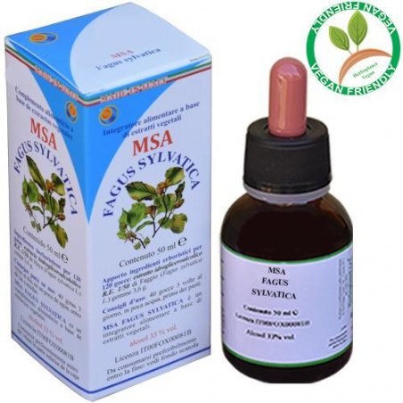 Comprar online FAGUS SYLVATICA GEMAS MSA (HAYA) MACERADO YEMAS 50 CC HERBOPLANET - Farmacia Coliseum