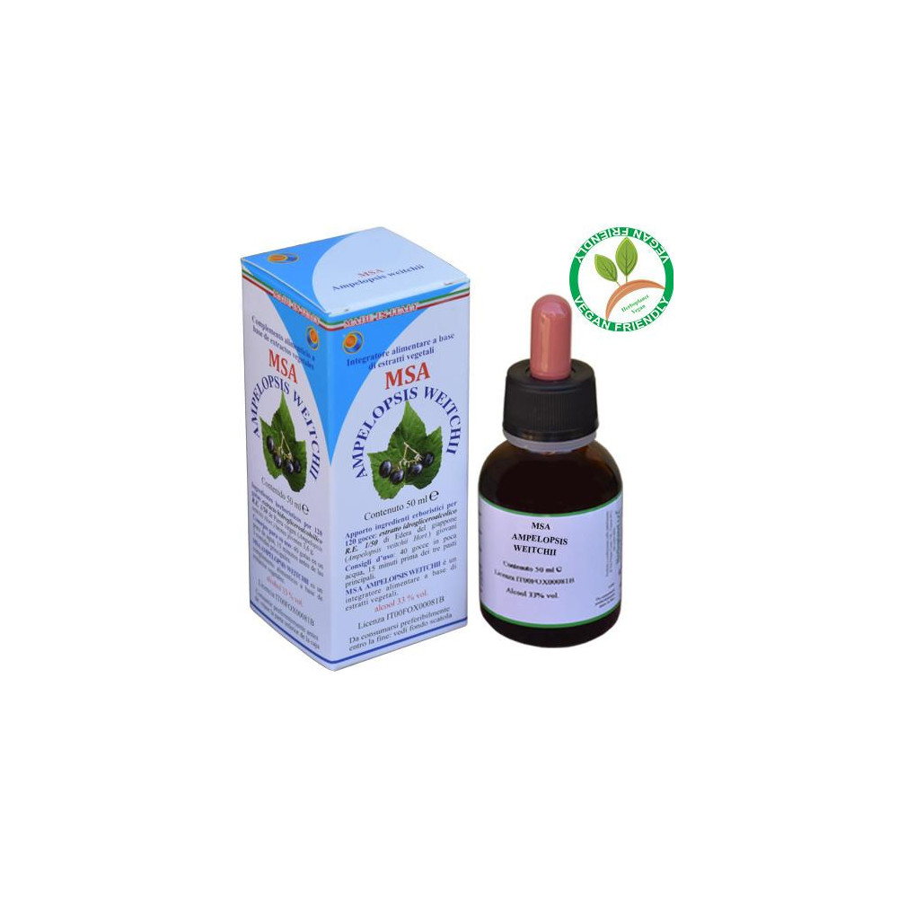 AMPELOPSIS WEITCHII BROTES JOVENES MSA MACERADO YEMAS 50 CC HERBOPLANET