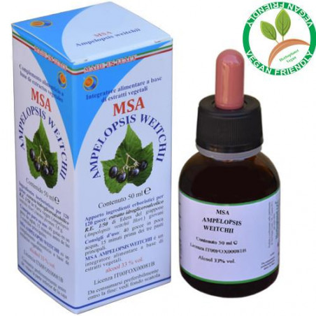 AMPELOPSIS WEITCHII BROTES JOVENES MSA MACERADO YEMAS 50 CC HERBOPLANET