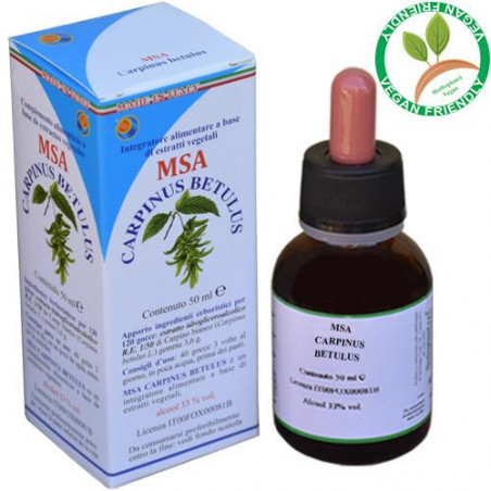 Comprar CARPINUS BETULUS GEMAS MSA MACERADO YEMAS 50 CC HERBOPLANET