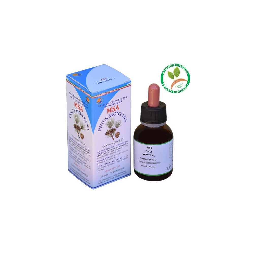 Comprar PINUS MONTANA GEMAS MSAMACERADO YEMAS 50 CC HERBOPLANET