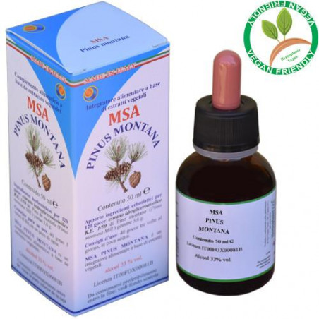 Comprar PINUS MONTANA GEMAS MSAMACERADO YEMAS 50 CC HERBOPLANET