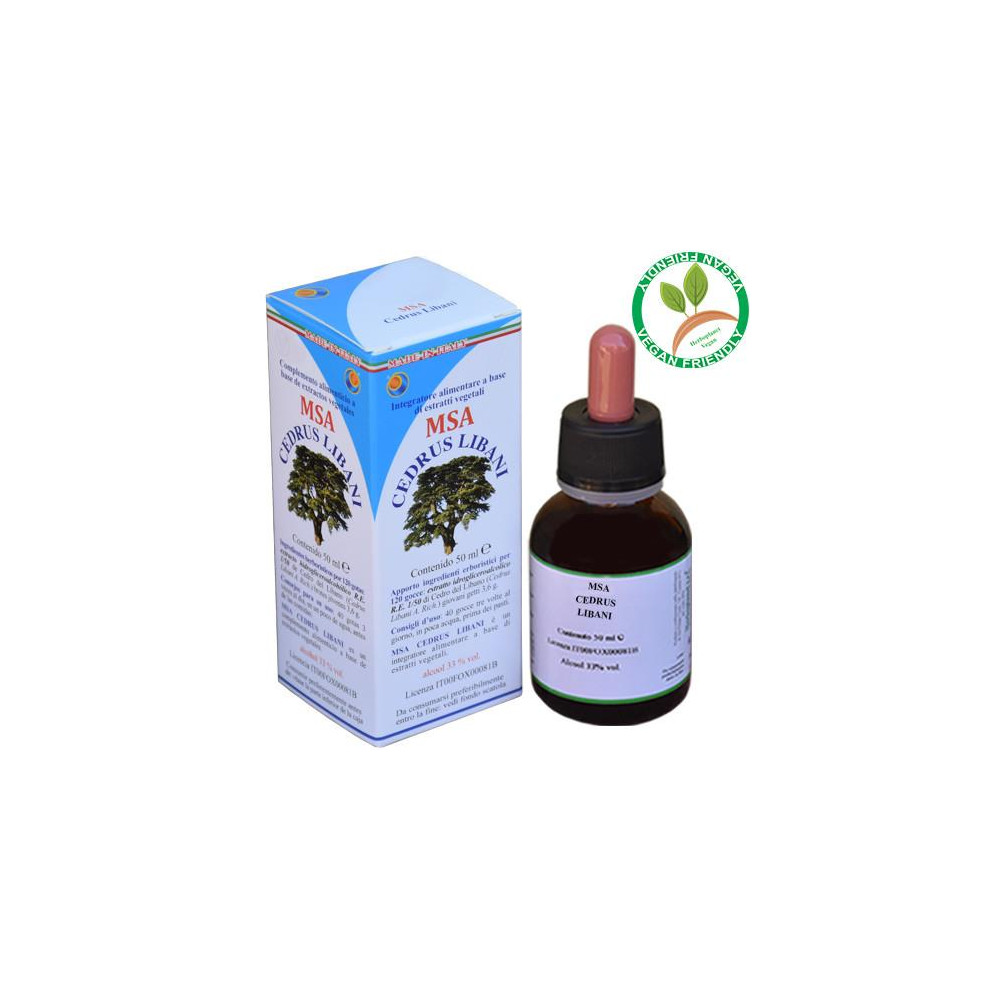 CEDRUS LIBANI BROTES JOVENES MSA MACERADO YEMAS 50 CC HERBOPLANET