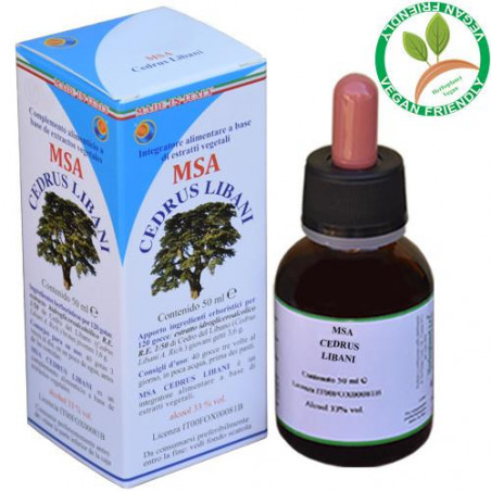 CEDRUS LIBANI BROTES JOVENES MSA MACERADO YEMAS 50 CC HERBOPLANET
