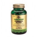 Comprar ECHINACEA ESTANDARIZADO 60 CAP SOLGAR online - Coliseum