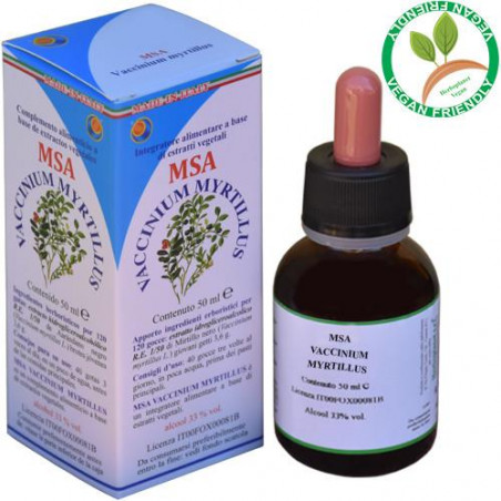 VACCINIUM MYRTILLUS BROTES JOVENES MSAMACERADO YEMAS 50 CC HERBOPLANET