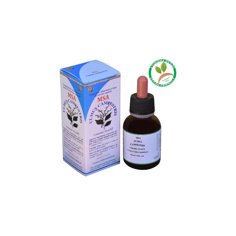Comprar ULMUS CAMPESTRIS GEMAS MSA MACERADO YEMAS 50 CC HERBOPLANET