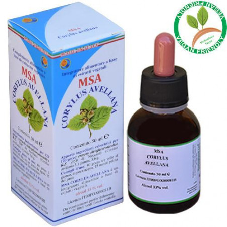 Comprar CORYLUS AVELLANA GEMAS MSA MACERADO YEMAS 50 CC HERBOPLANET
