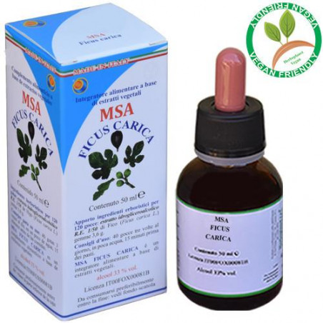 Comprar FICUS CARICA GEMAS MSA MACERADO YEMAS 50 CC HERBOPLANET