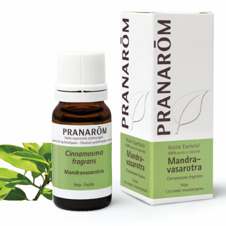 Comprar online MANDRAVASAROTRA O.E. (CINNAMOMSA FRAGRANS) 10 CC PRANAROM - Farmacia Coliseum