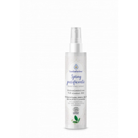 Comprar SPRAY PURIFICANTE BIO 100 ML ESENTIAL AROMS INTERSA online - Farmacia Coliseum