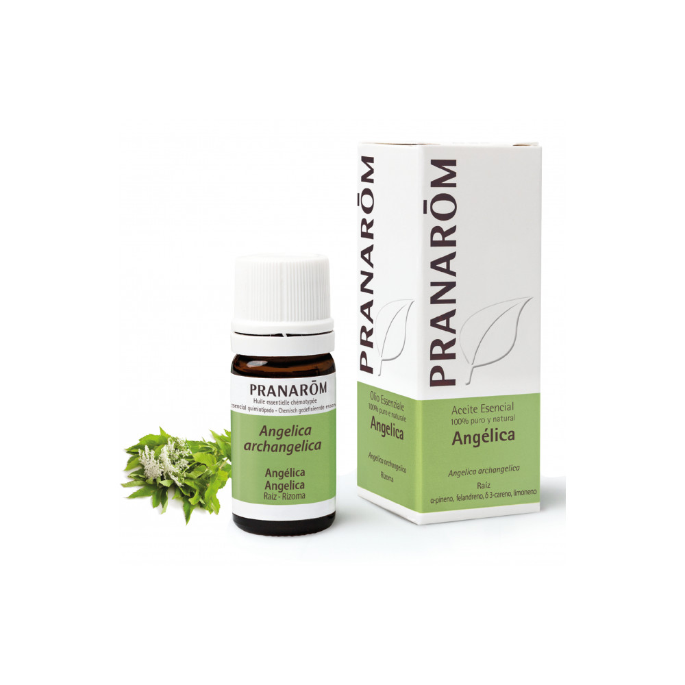 Comprar online ANGELICA O.E. RAIZ (ANGELICA ARCHANGELICA) 5 CC PRANAROM - Farmacia Coliseum