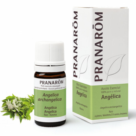 Comprar online ANGELICA O.E. RAIZ (ANGELICA ARCHANGELICA) 5 CC PRANAROM - Farmacia Coliseum