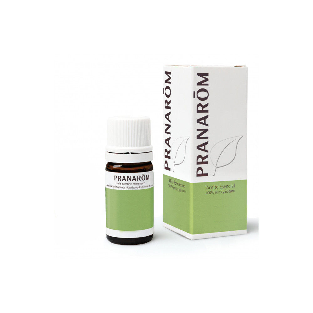 Comprar online CAJEPUT O.E. HOJA BIO 10 CC PRANAROM