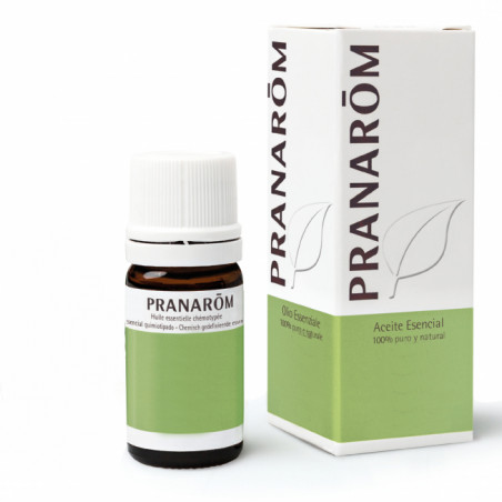 Comprar BAYRUM O.E. HOJA 10 CC PRANAROM online - Farmacia Coliseum