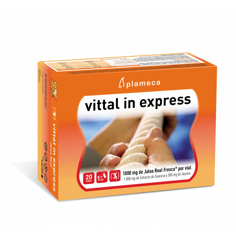 Comprar VITTAL IN EXPRESS JALEA REAL 20 AMP PLAMECA online - Coliseum