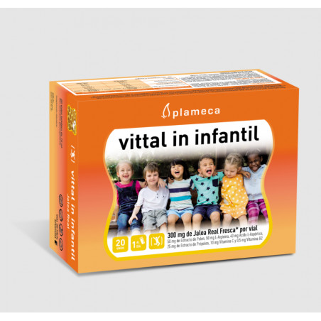 Comprar online VITTAL IN INFANTIL JALEA REAL 20 AMP PLAMECA - Farmacia Coliseum
