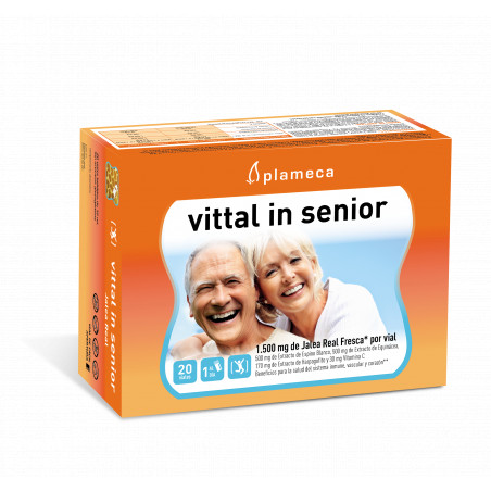 Comprar VITTAL IN SENIOR JALEA REAL 20 AMP PLAMECA online - Farmacia Coliseum