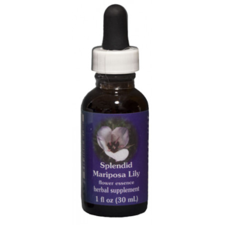 Comprar online E.F. SPLENDID MARIPOSA LILY 30 ML FES CALIFORNIA - Farmacia Coliseum