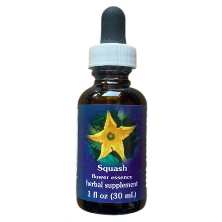 Comprar E.F. SQUASH (ZUCCHINI) 30 ML. FES CALIFORNIA online