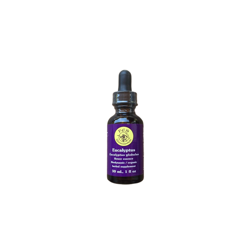 Comprar online E.F. EUCALIPTUS 30 ML. FES CALIFORNIA - Coliseum