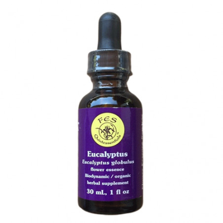 Comprar online E.F. EUCALIPTUS 30 ML. FES CALIFORNIA - Coliseum