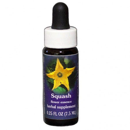 Comprar E.F. SQUASH (ZUCCHINI) 7,5 ML. FES CALIFORNIA online