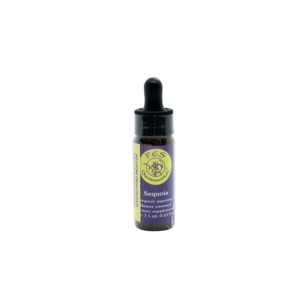 Comprar online E.F. SEQUOIA 7,5 ML. FES CALIFORNIA - Coliseum
