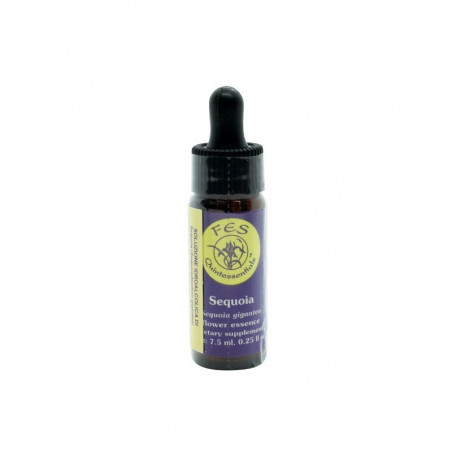 Comprar online E.F. SEQUOIA 7,5 ML. FES CALIFORNIA - Coliseum