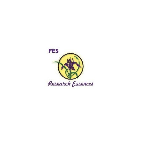 Comprar online E.F. BLAZING STAR 30 ML. FES CALIFORNIA - Coliseum